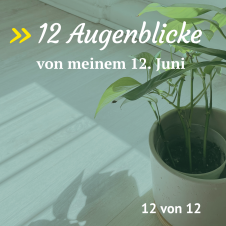 Mein 12. Juni in 12 Bildern
